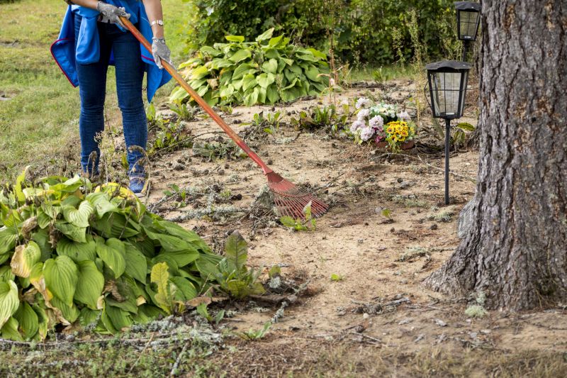 Brush and Debris Removal