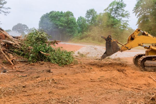 Ground Clearing in Bellingham
