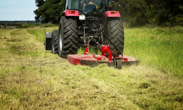 Brush Clearing Service in Bellingham