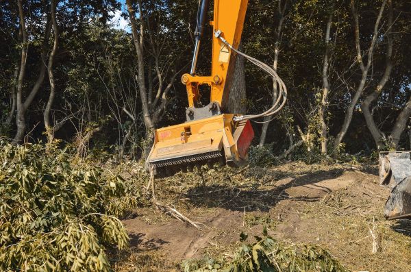 Brush Removal Service in Bellingham