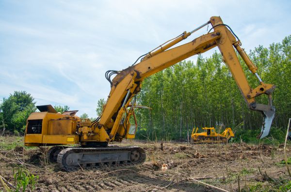 Cost of Farm Clearing in Bellingham