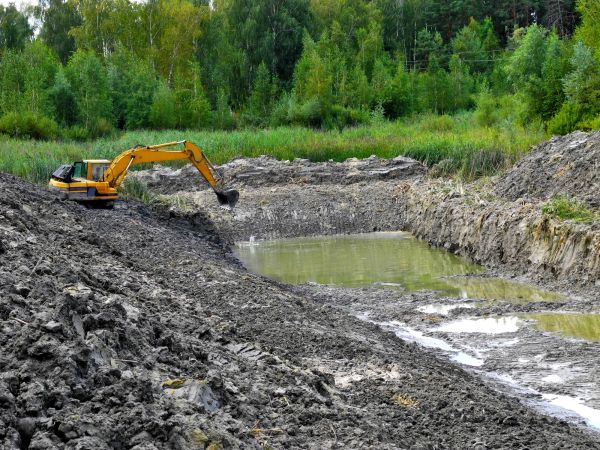 Cost of Lake Lot Clearing in Bellingham