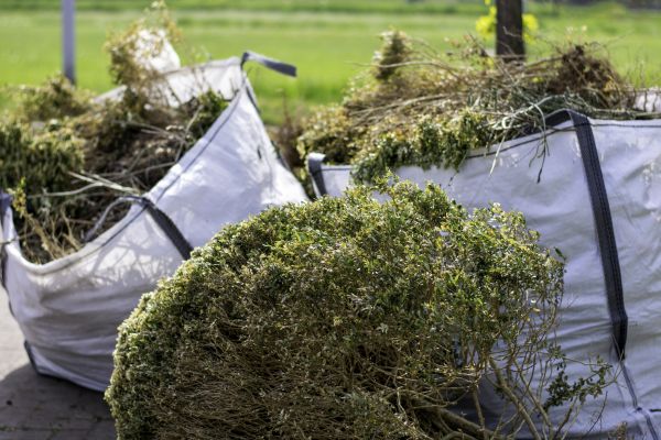 Cost of Bushes Clearing in Bellingham