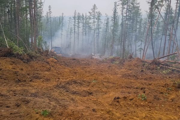 Cost of Hill Clearing in Bellingham