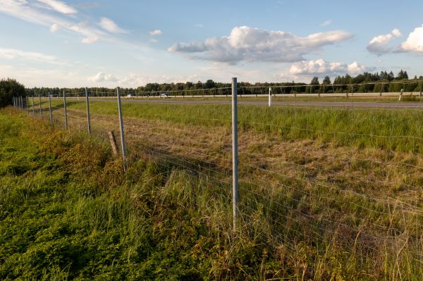 Cost of Property Line Clearing in Bellingham