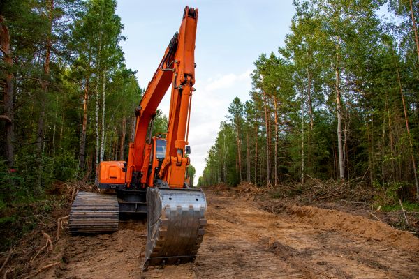 Cost of Backhoe Land Clearing in Bellingham