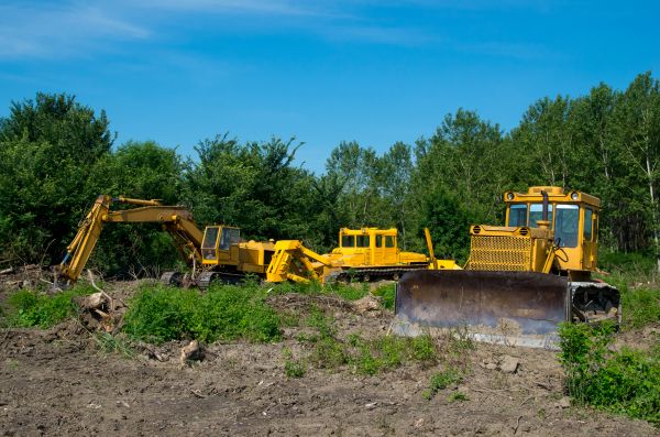 Cost of Bulldozer Clearing in Bellingham