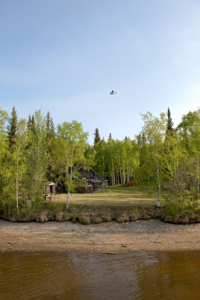 Cost of Waterfront Land Clearing in Bellingham