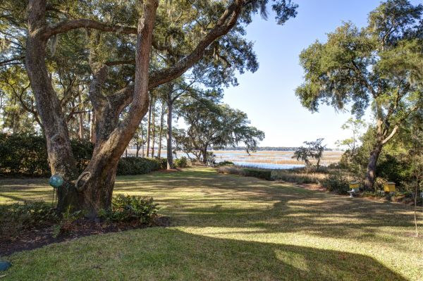 Cost of Lakefront Property Clearing in Bellingham