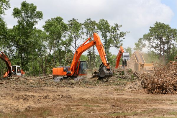 Cost of Commercial Lot Clearing in Bellingham
