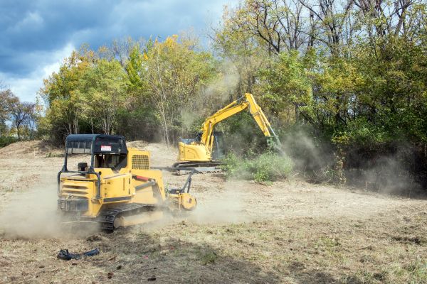 Cost of Terrain Clearing in Bellingham